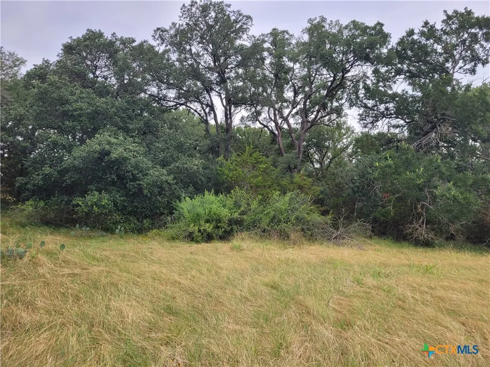 US HWY 190 E Kempner, TX 76539