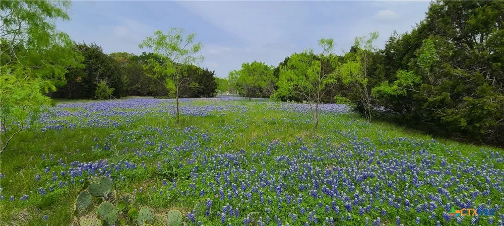 US HWY 190 E Kempner, TX 76539