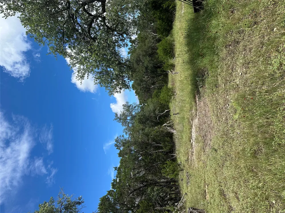 Lantana Gold Spring Branch, TX 78070