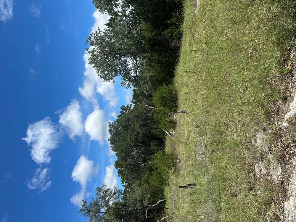 Lantana Gold Spring Branch, TX 78070