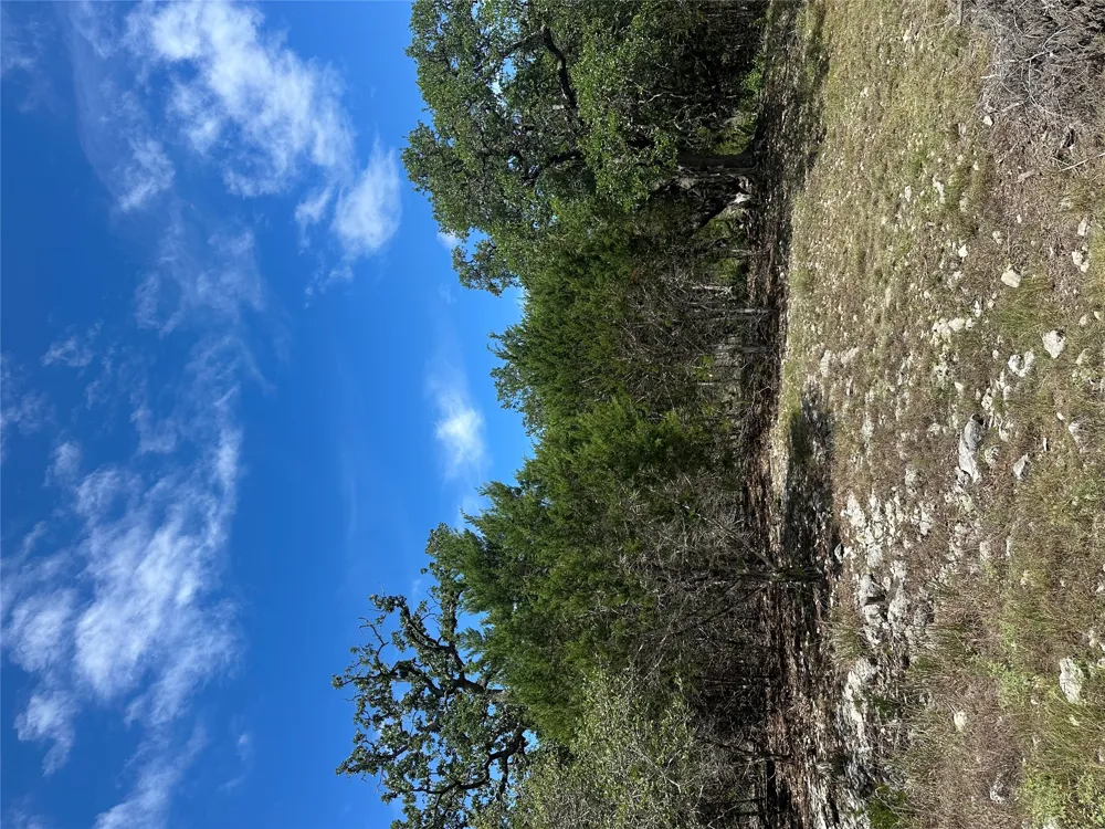 Lantana Gold Spring Branch, TX 78070