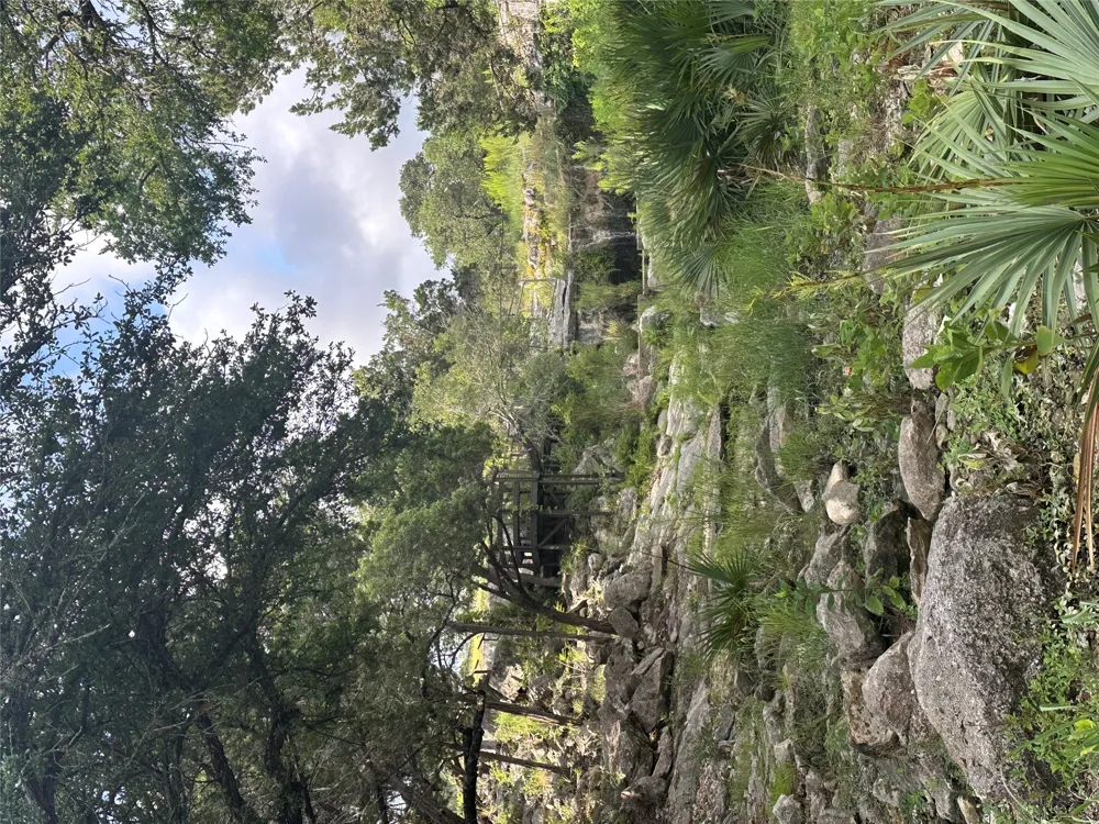 Lantana Gold Spring Branch, TX 78070