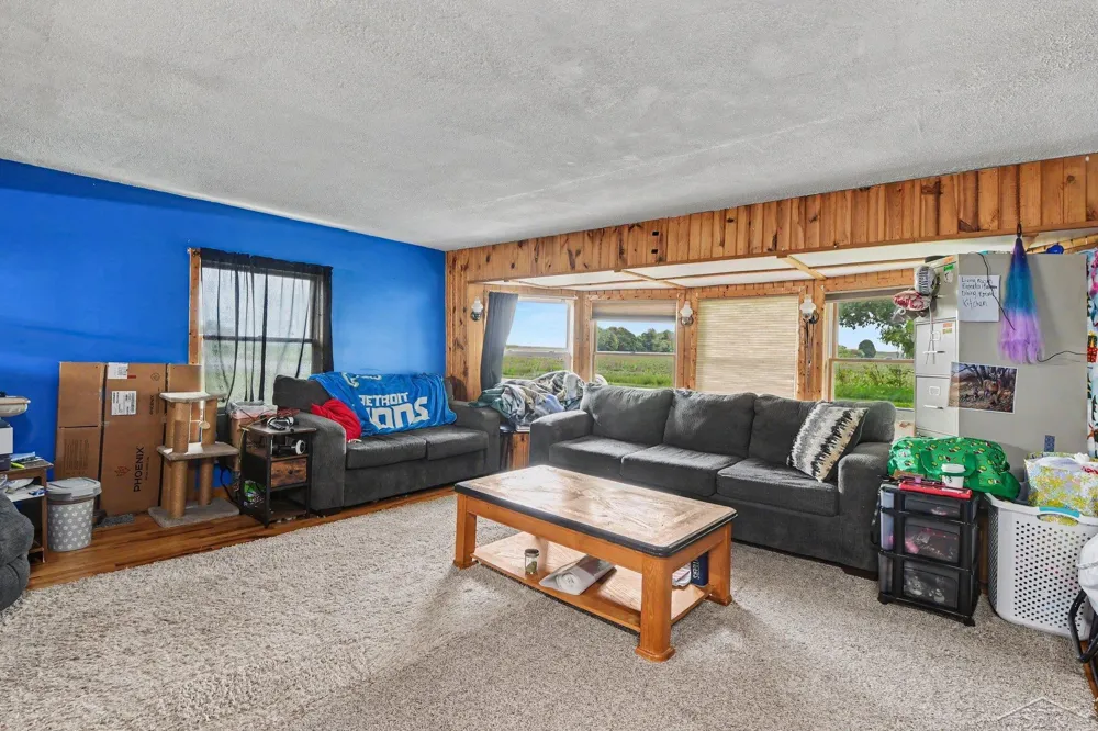 10602 Jordan Lake Road Odessa Township, MI 48849