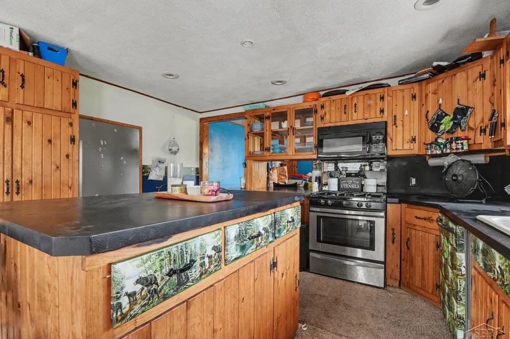 10602 Jordan Lake Road Odessa Township, MI 48849