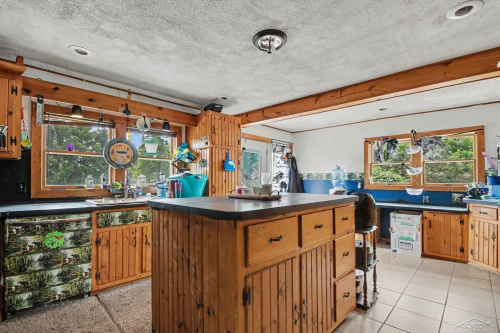 10602 Jordan Lake Road Odessa Township, MI 48849