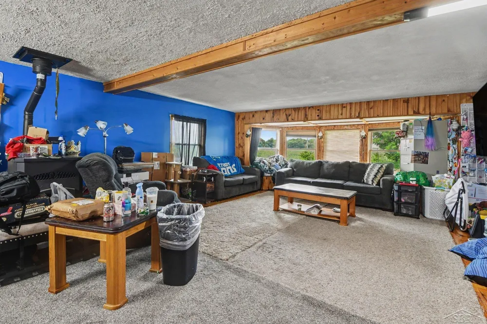 10602 Jordan Lake Road Odessa Township, MI 48849