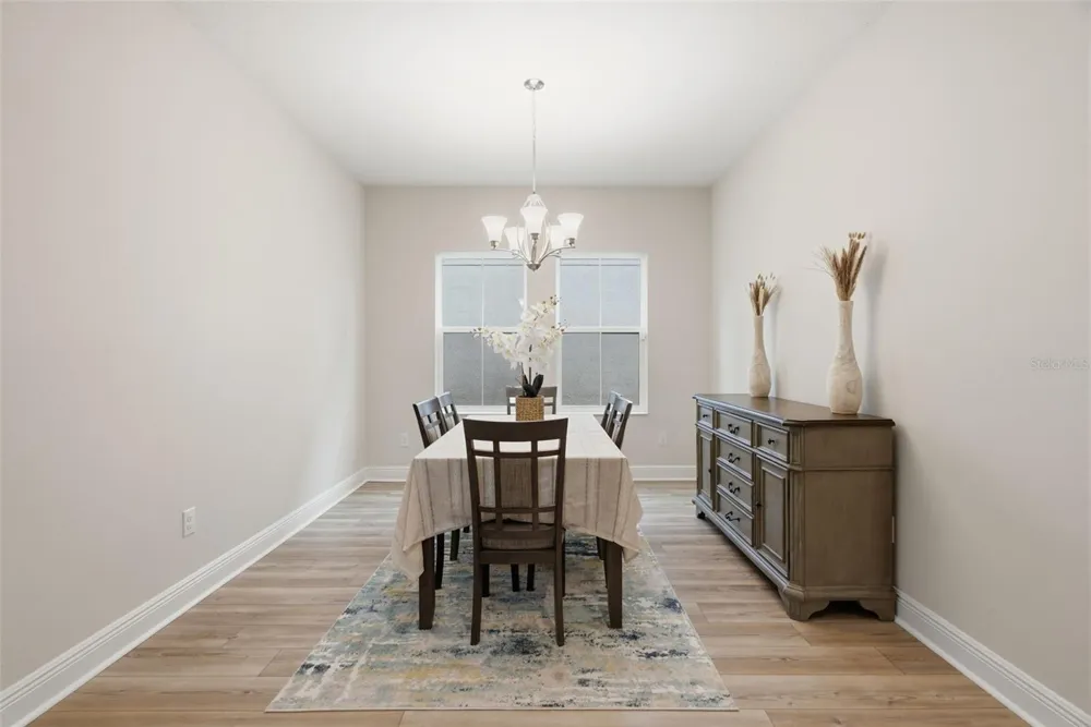 14759 GALLOP RUN DRIVE Lithia, FL 33547