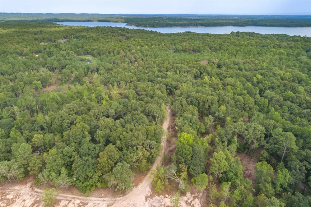 19451 County Road 4307 Road Larue, TX 75770