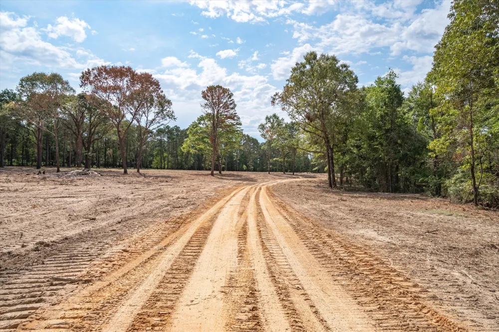 19451 County Road 4307 Road Larue, TX 75770
