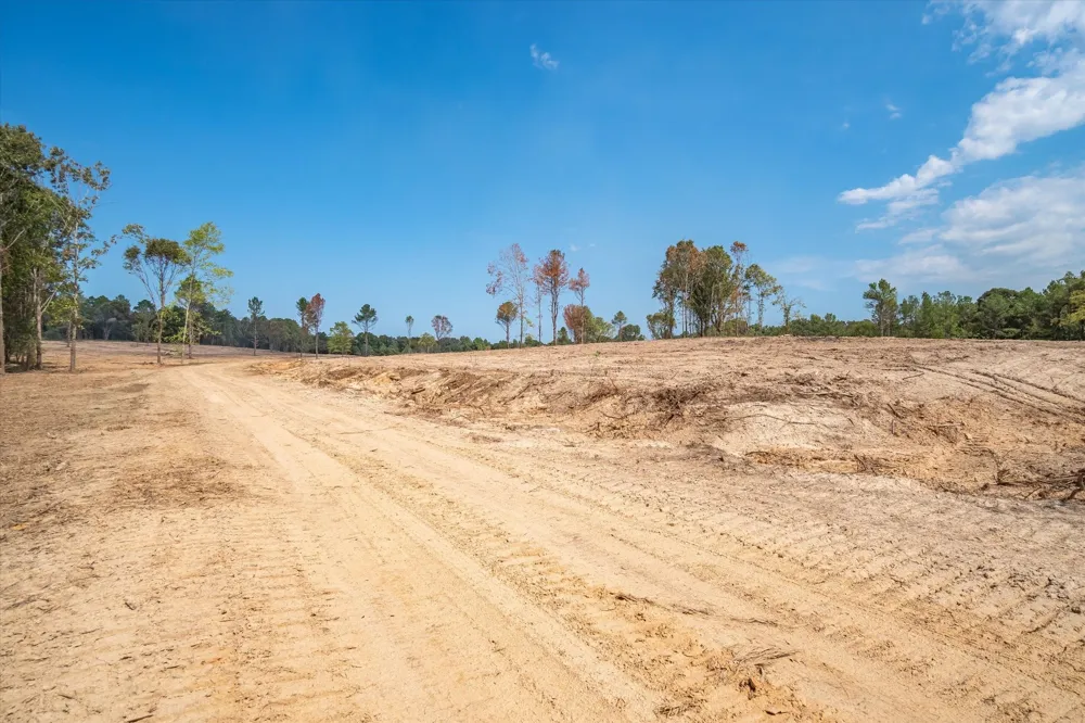 19451 County Road 4307 Road Larue, TX 75770