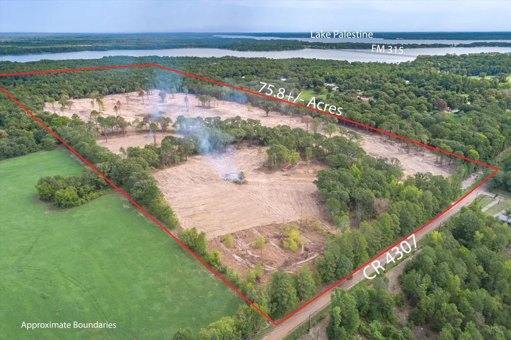 19451 County Road 4307 Road Larue, TX 75770