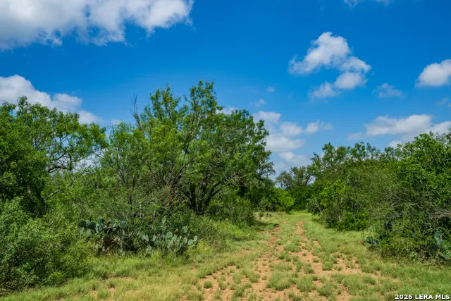000 miller road Uvalde, TX 78801