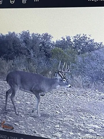 000 miller road Uvalde, TX 78801