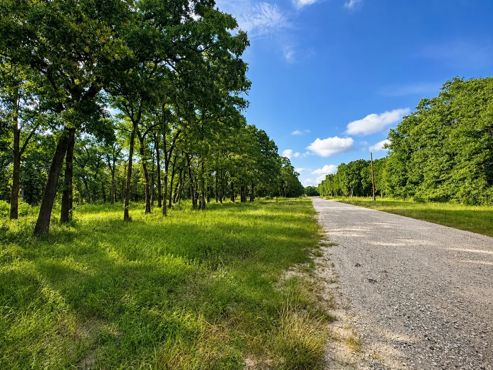 County Road 1503 Point, TX 75472