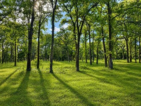 County Road 1503