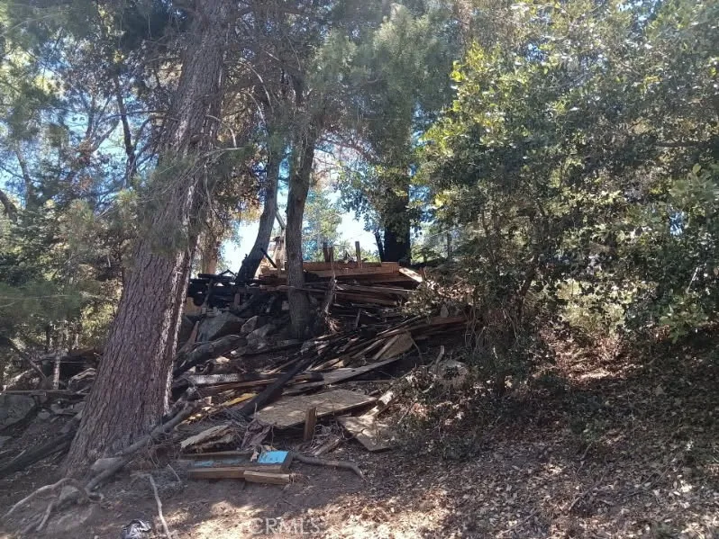 1102 Chateau Drive Crestline, CA 92325