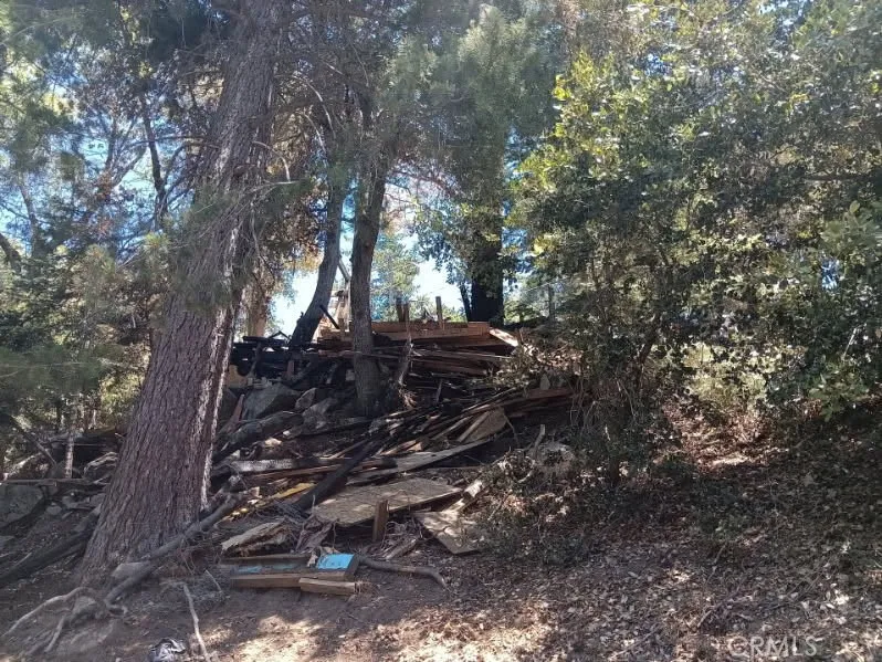 1102 Chateau Drive Crestline, CA 92325