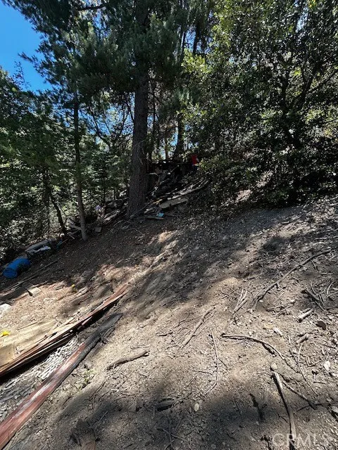 1102 Chateau Drive Crestline, CA 92325