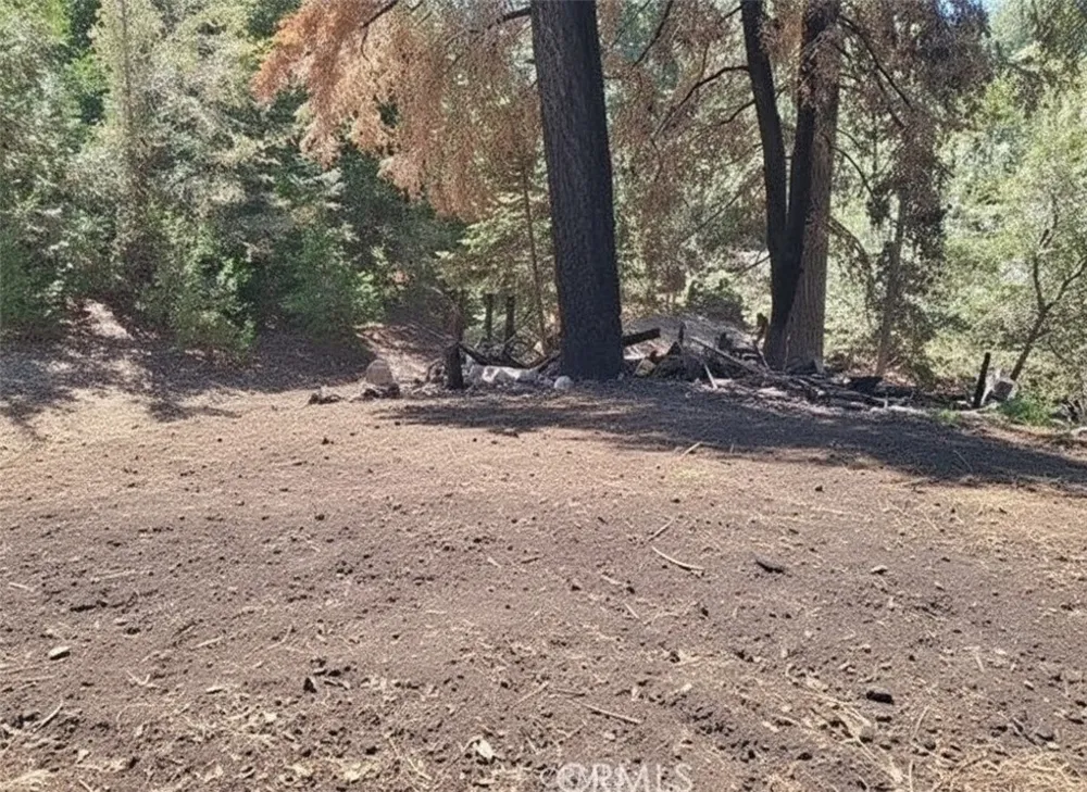 1102 Chateau Drive Crestline, CA 92325