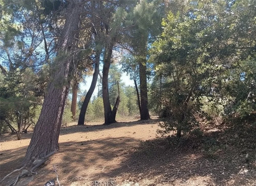 1102 Chateau Drive Crestline, CA 92325