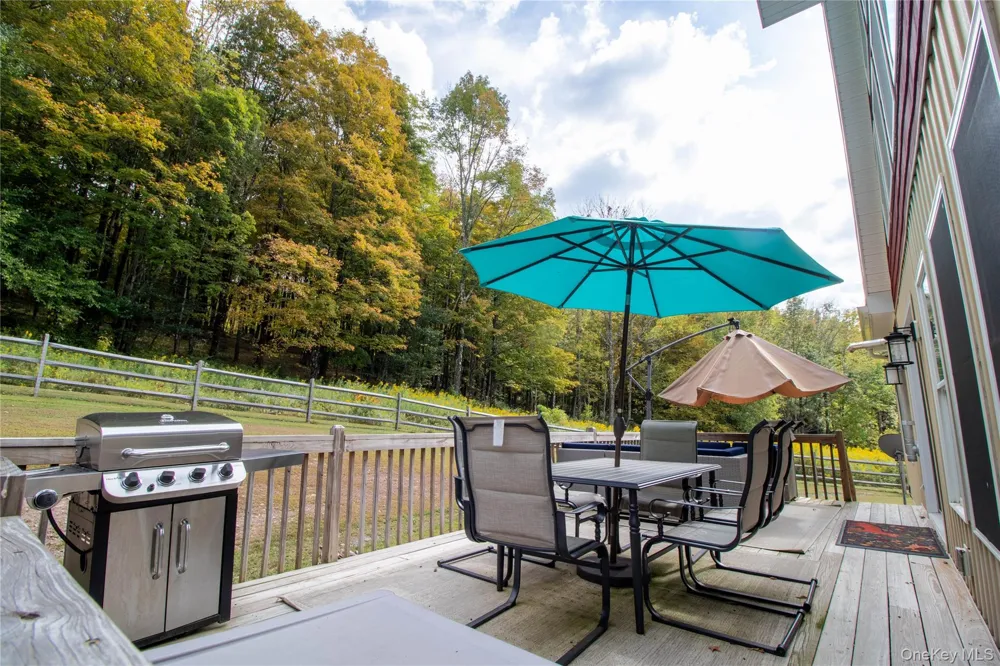 366 County Rd 93 (Hankins Rd) Road Roscoe, NY 12776