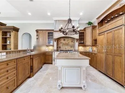 234 ACADIA TERRACE Celebration, FL 34747