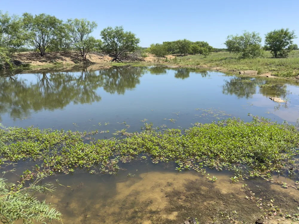 950 County Road 126 Moran, TX 76464