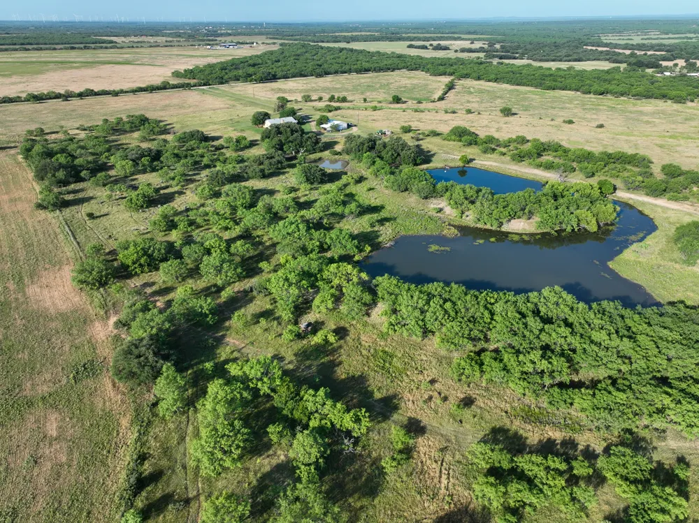 950 County Road 126 Moran, TX 76464