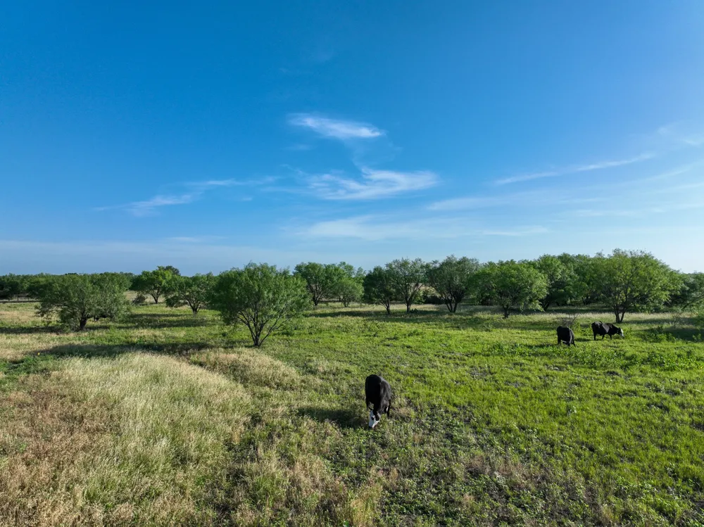 950 County Road 126 Moran, TX 76464