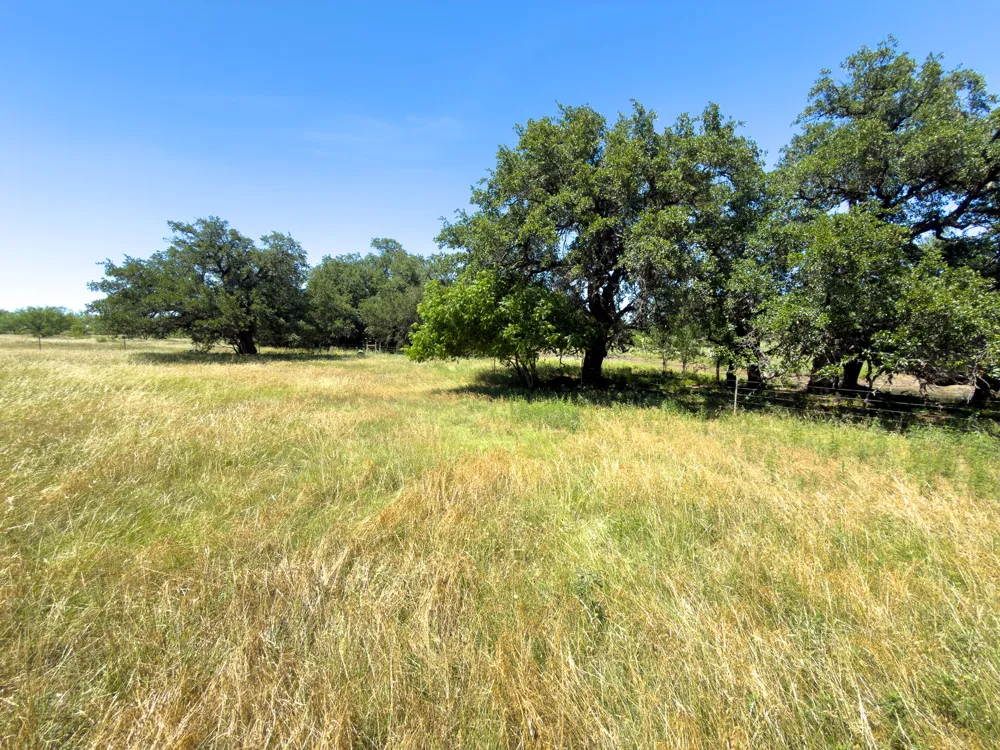 950 County Road 126 Moran, TX 76464