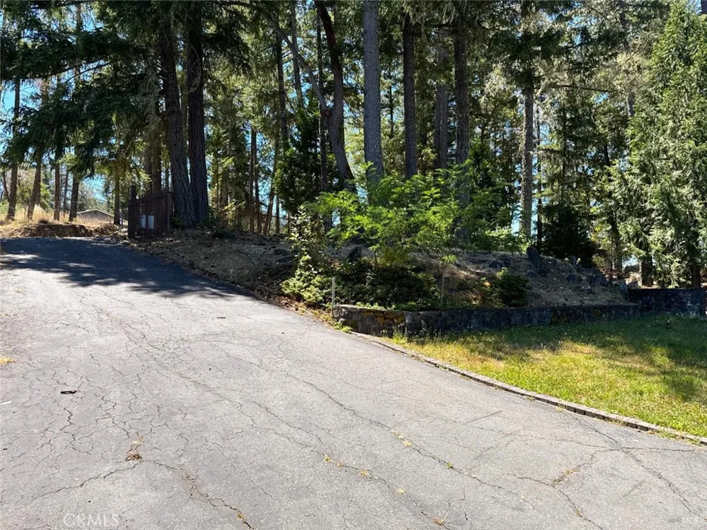 16990 Old Boy Scout Willits, CA 95490
