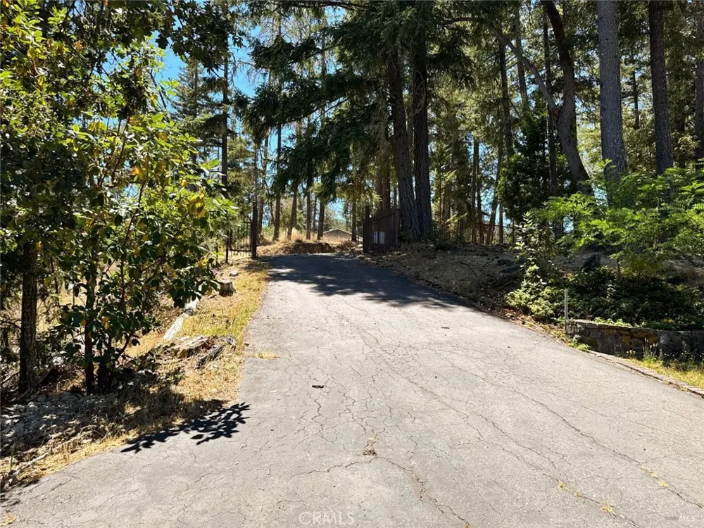 16990 Old Boy Scout Willits, CA 95490