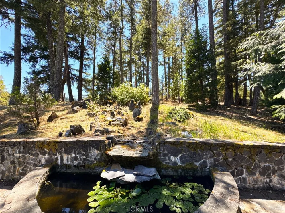 16990 Old Boy Scout Willits, CA 95490
