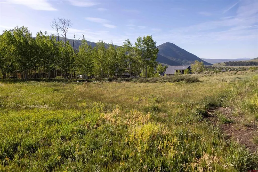 451 Zeligman Street Crested Butte, CO 81224