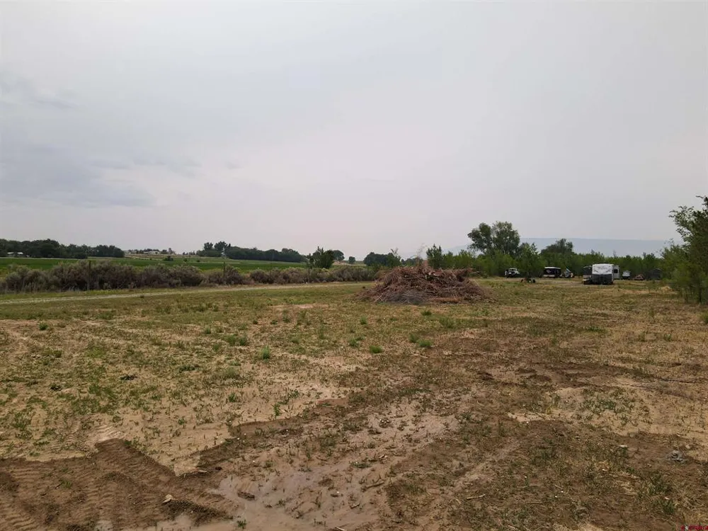 Begonia Road Olathe, CO 81425