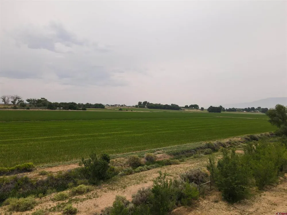 Begonia Road Olathe, CO 81425
