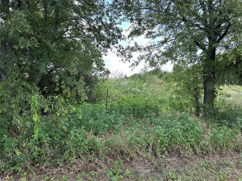Rutledge Road Whitewright, TX 75491
