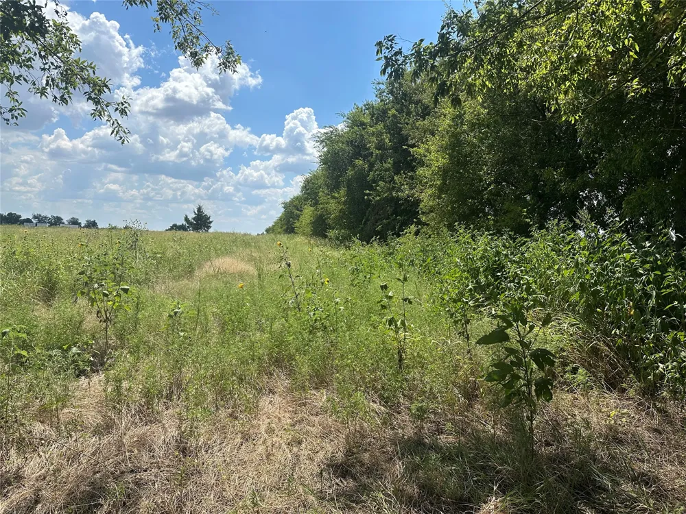 Rutledge Road Whitewright, TX 75491
