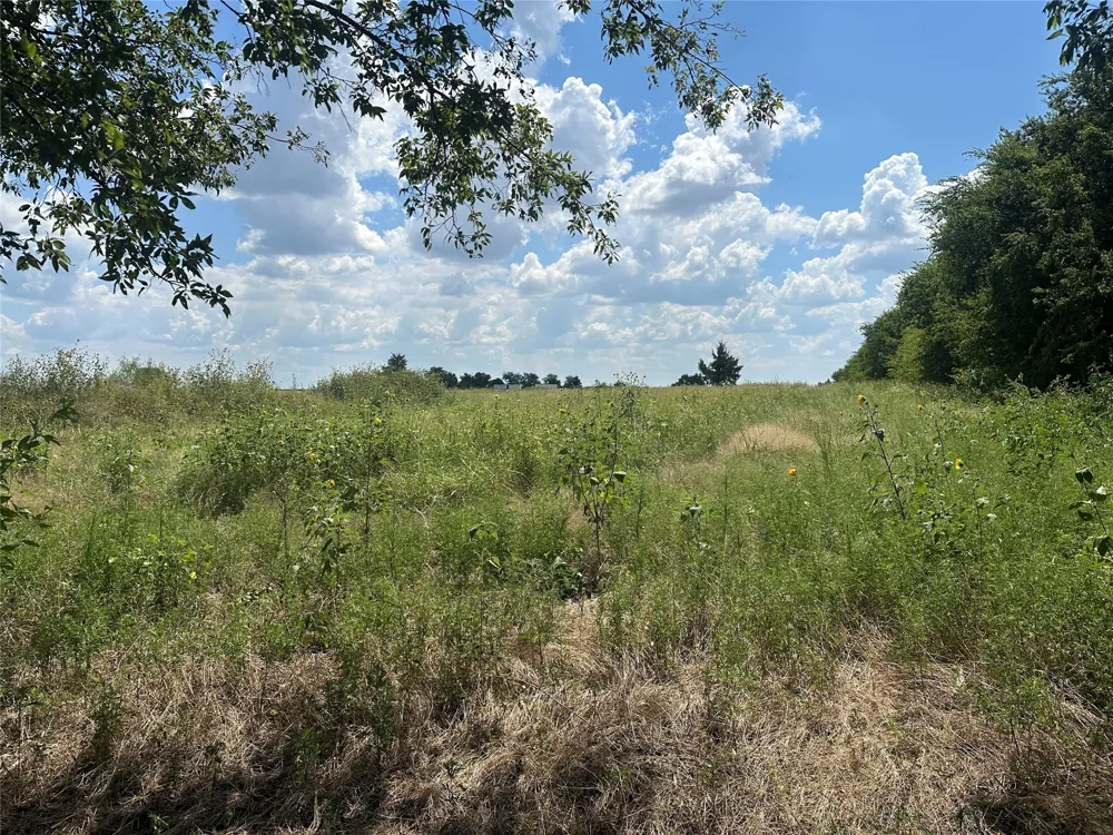 Rutledge Road Whitewright, TX 75491