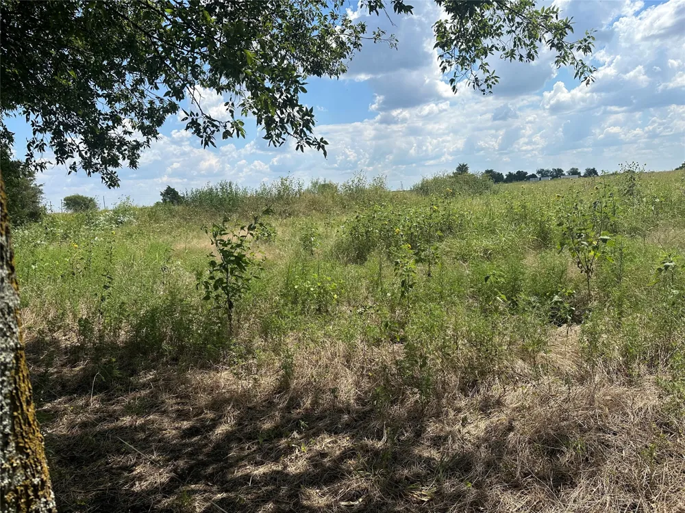Rutledge Road Whitewright, TX 75491