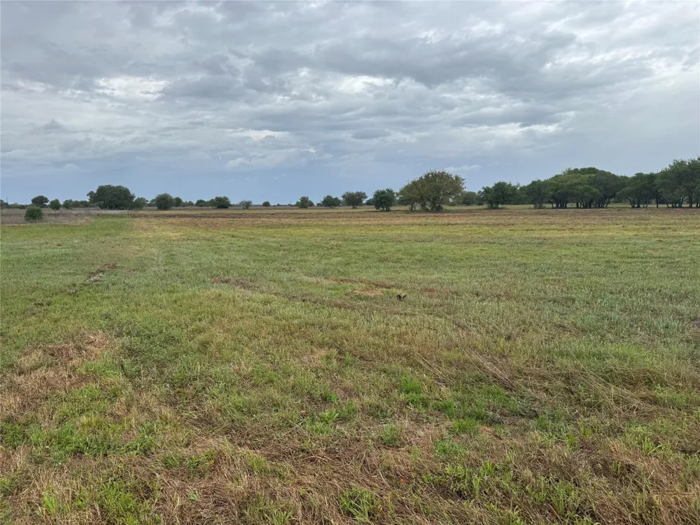 544 Gadwall Lane Rock Island, TX 77470