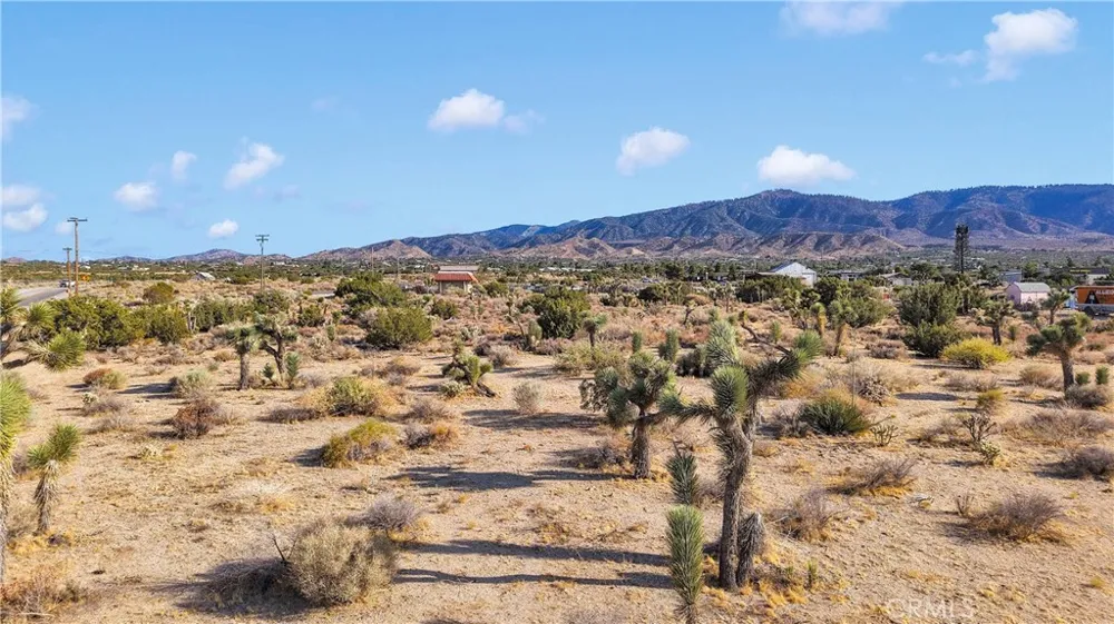 875 Locust Road Pinon Hills, CA 92372