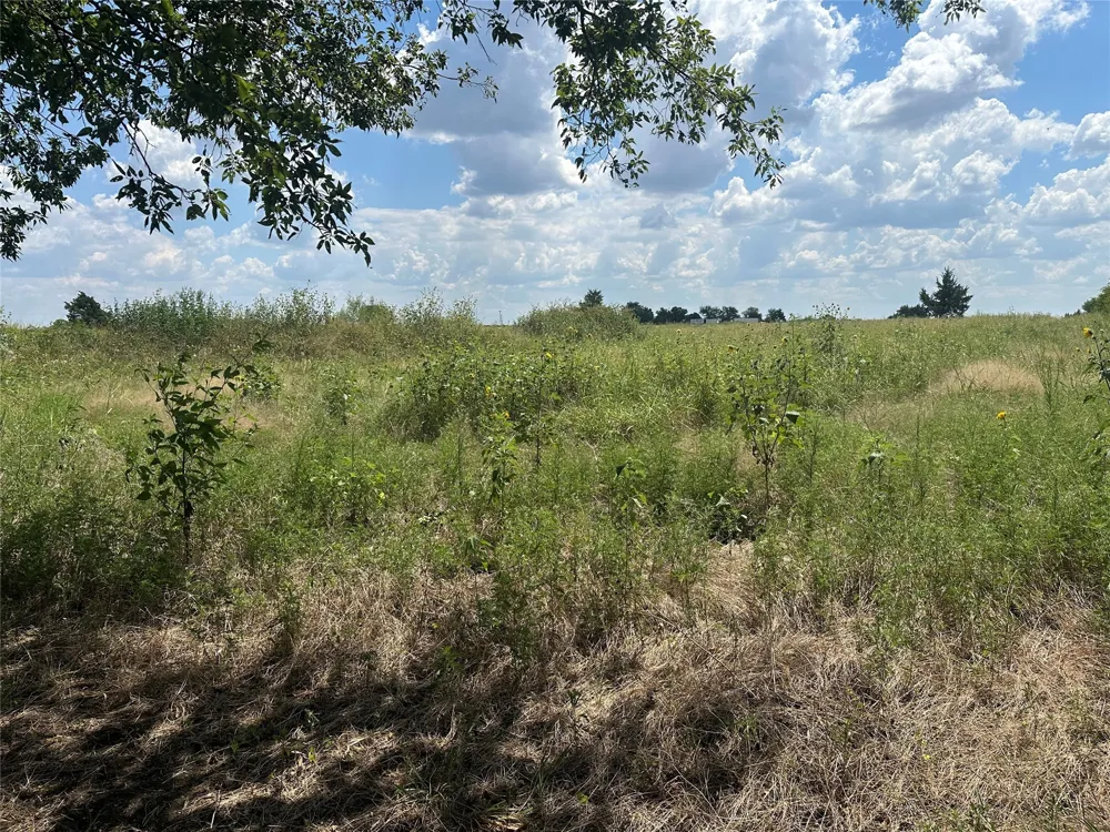 Rutledge Road Whitewright, TX 75491