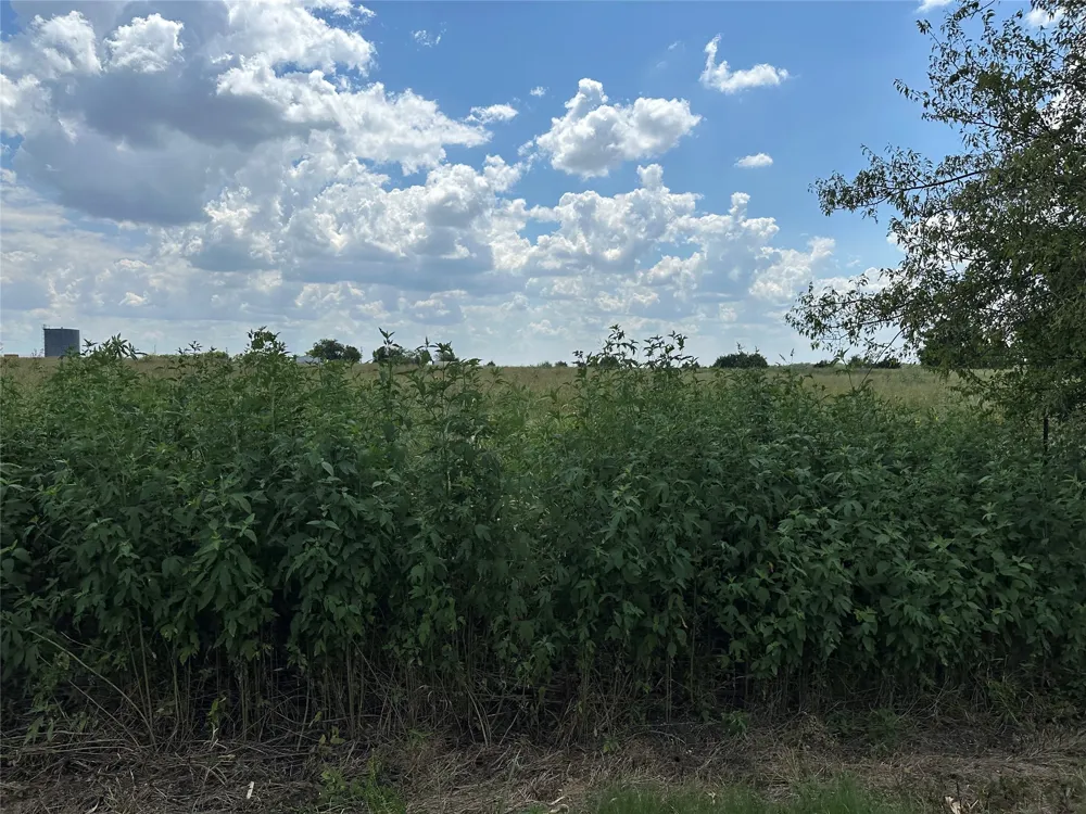 Rutledge Road Whitewright, TX 75491