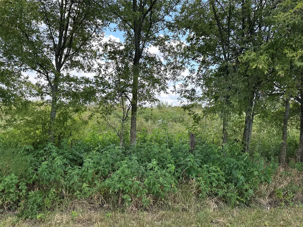 Rutledge Road Whitewright, TX 75491