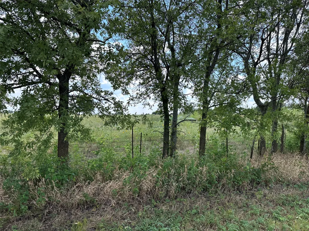 Rutledge Road Whitewright, TX 75491