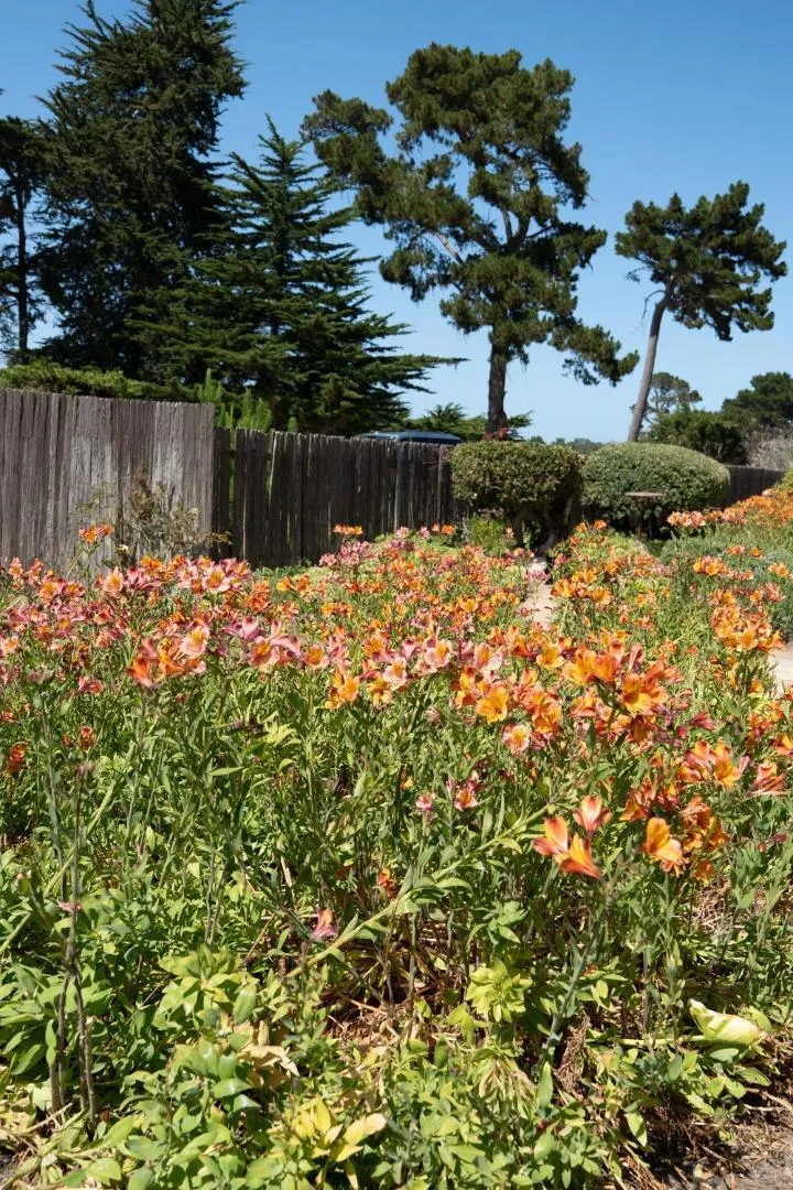 1031 The Old Drive Pebble Beach, CA 93953