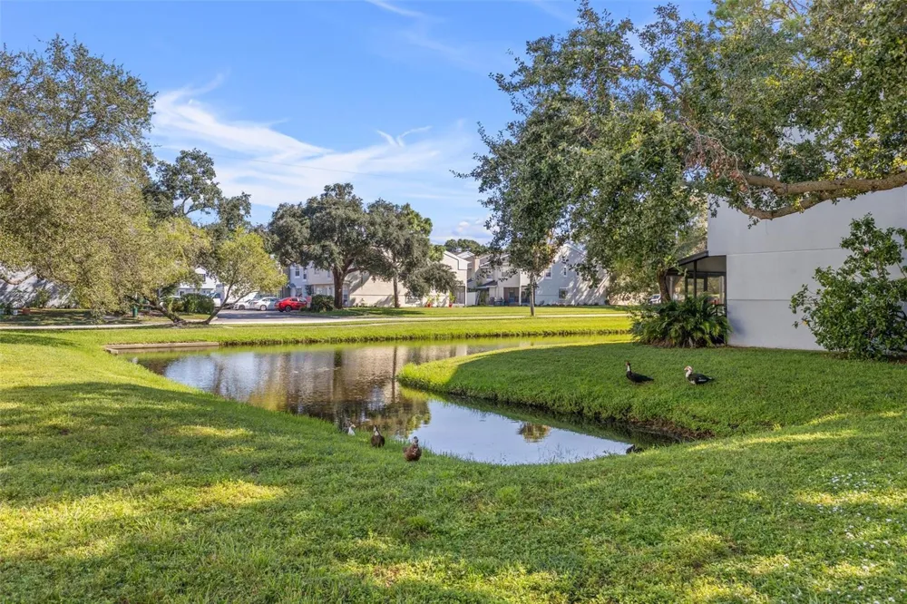 6650 121ST AVENUE #4 Largo, FL 33773