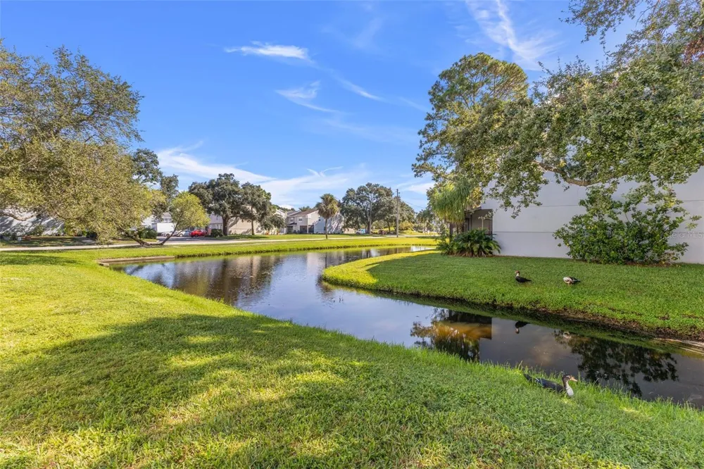 6650 121ST AVENUE #4 Largo, FL 33773