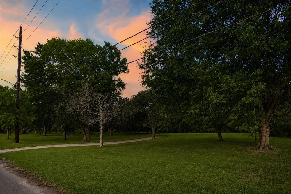 8407 Wilson Street Fulshear, TX 77441